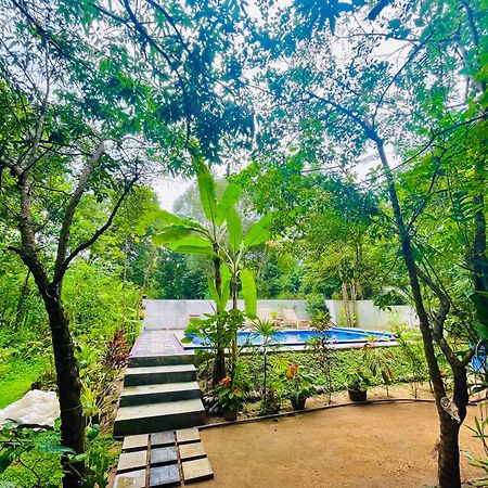 Gangadiya Lodge سيغيرِيا المظهر الخارجي الصورة