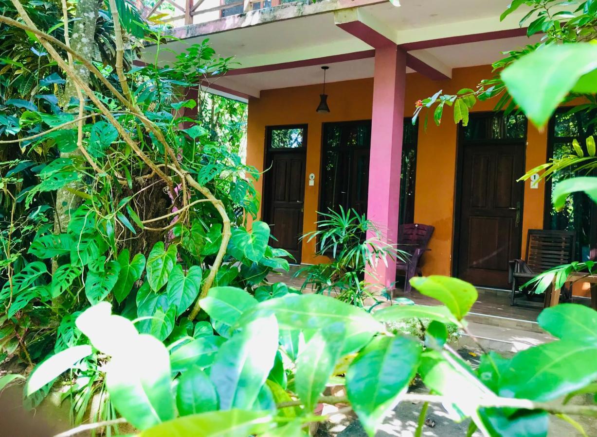 Gangadiya Lodge سيغيرِيا المظهر الخارجي الصورة